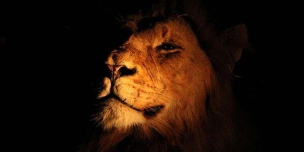 Пуленепробиваемая уверенность 2.0 | Сентябрь 2022